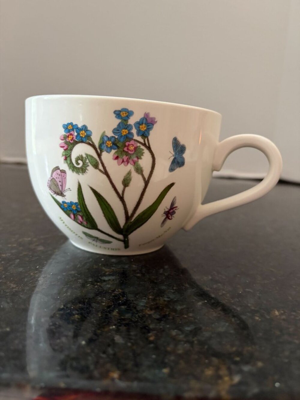 Portmeirion Botanic Garden 5" Wide, Ceramic Forget-Me-Knot Jumbo Coffee Cup